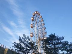 -云里梦想乐园