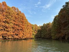 -上海海湾国家森林公园