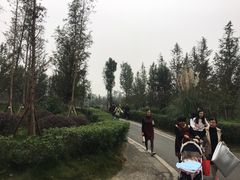 -白鹭湾湿地公园