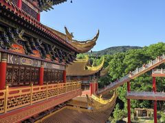 -东莞市大岭山森林公园