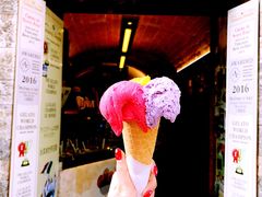 -Gelateria Dondoli