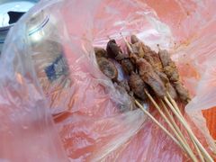 -孙阁老油炸羊肉串(制锦市店)