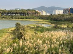 -立新湖公园