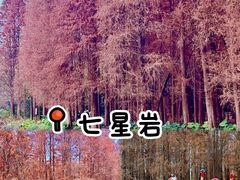 -鼎香皇高佬苏裹蒸粽