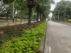 -风云岭森林公园