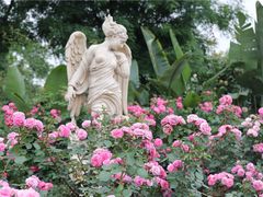 -洪湖湿地生态园