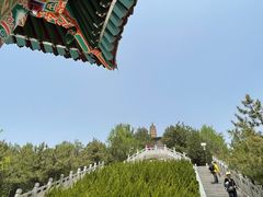 -白塔山公园