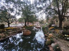 -上海共青森林公园