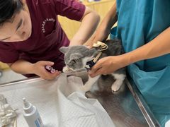 -中农大我爱我爱动物医院·核磁CT·猫病·24小时夜诊中心(石佛营店)