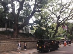 -九龙公园