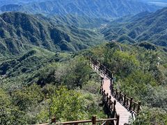 -大岭沟猕猴桃谷风景区