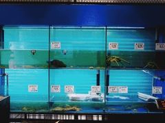 水产区-浙C老邻舍(西城海错店)