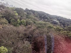 -广州市白云山风景名胜区