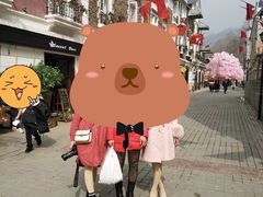 -四川省成都市彭州市白鹿镇