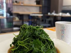 -海金滋(陕西南路店)