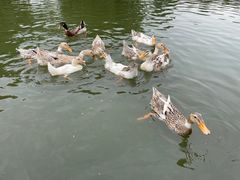 -金庭庄园酒店-停车场