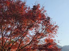 -篁岭景区