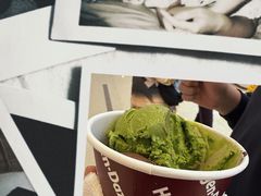 -哈根达斯(皇城恒隆广场店)