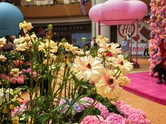 -上海长风大悦城