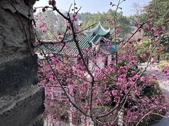 -老桂湖公园-杨升庵博物馆