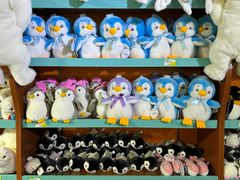 -太平洋海底世界