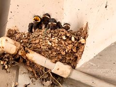 -精典汽车维修服务公司(雁翔路店)