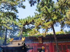 -潭柘寺景区