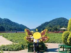 -广州市石门国家森林公园