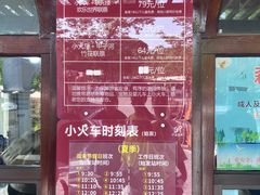 -合肥滨湖国家森林公园