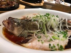 清蒸鲈鱼-渝乡老妈·北京烤鸭(六里桥店)