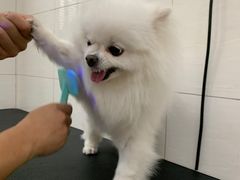 -艾贝尔宠物医院 ·内科全科(梁溪路店)