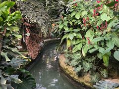 -南宫五洲植物乐园