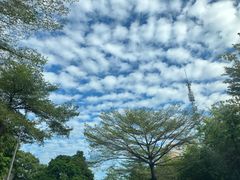 -长洲岛