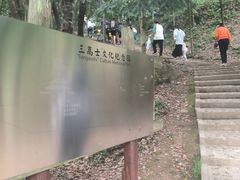 -上海佘山国家森林公园天马山园