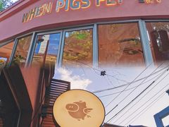 -WHEN PIGS FLY当猪飞