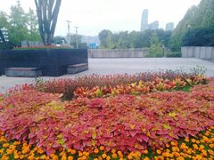 -重庆市江北嘴中央商务区中央公园