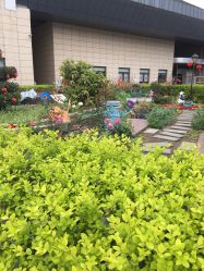 -梦田都市农场(银泰城店)
