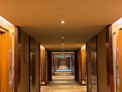 -东莞松山湖凯悦酒店