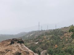 -白水寺森林公园