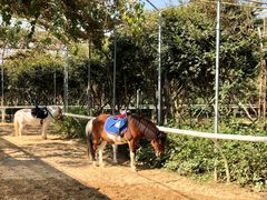 -迪茵湖田家舍生态农场