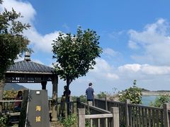 -江南天池