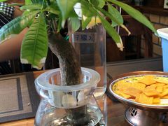 -七菜馆·东北菜·蒸饺(文体路店)