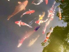 -杭州西湖柳莺里酒店