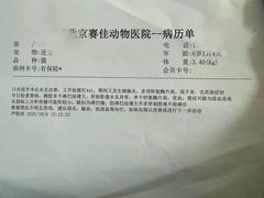 -北京赛佳动物医院