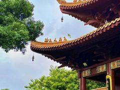 -深圳仙湖植物园