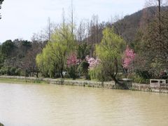 -兰亭风景区