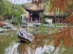 -顺峰山公园