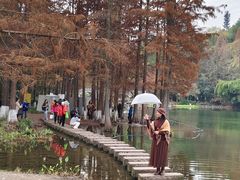 -重庆彩云湖湿地公园