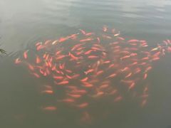 -前关湿地公园