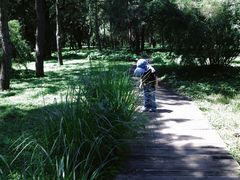 -颐和园西门停车场